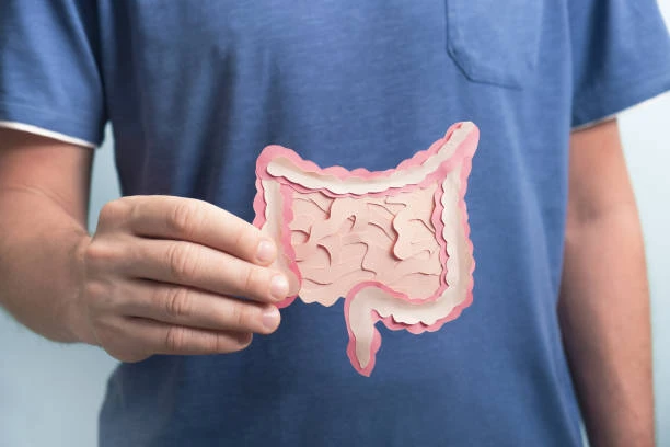 Digestive Health Digestive Health